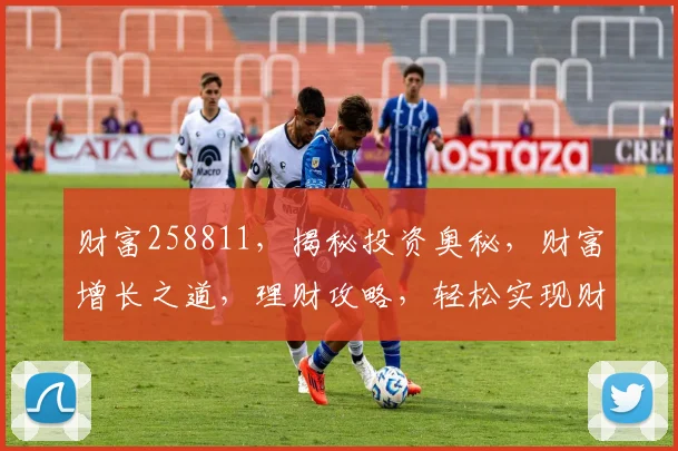 财富258811，揭秘投资奥秘，财富增长之道，理财攻略，轻松实现财务自由
